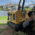 Professional stump grinding after tree removal in Jackson MS