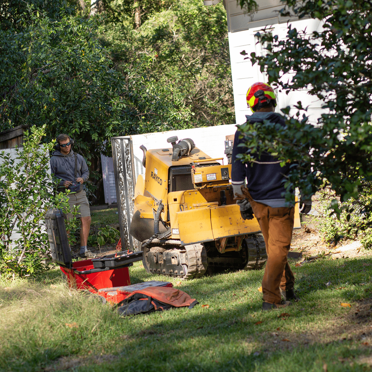 Tree care work on a residential property in Gluckstadt, MS.